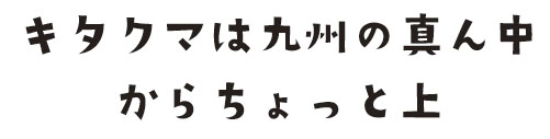 キタクマは九州の真ん中からちょっと上