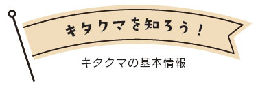 キタクマの基本情報